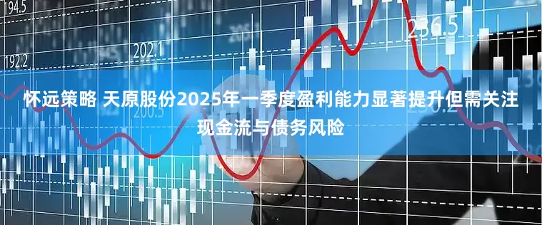 怀远策略 天原股份2025年一季度盈利能力显著提升但需关注现金流与债务风险