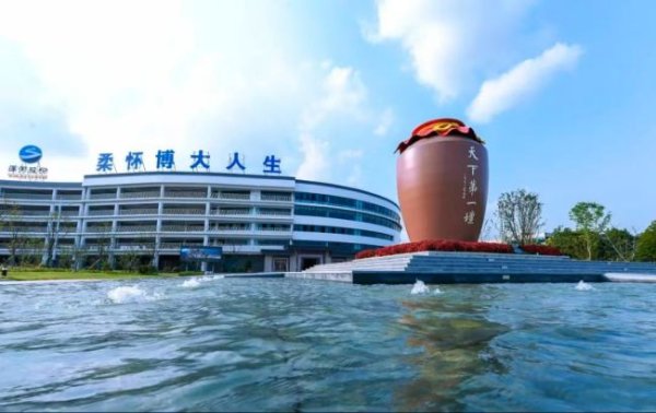 趣操盘 “蓝色风暴”升级来袭，洋河破局行业新周期